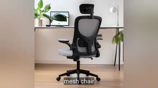 Ergonomic Executive Chair with Mesh Fabric for Home and Office