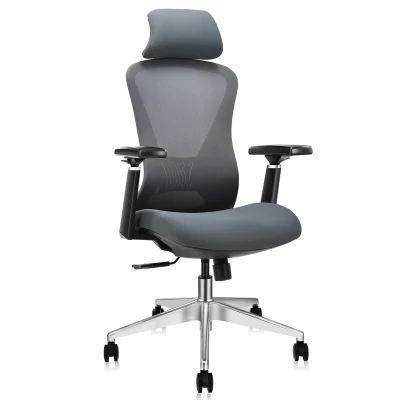 Exclusive Upholstery Back Design Ergonomic Adjustable Mesh Office Chair