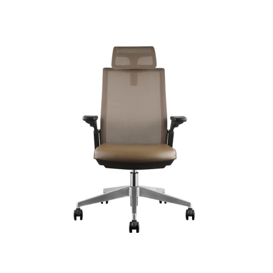 Various Color Options Nylon Frame Middle Mesh Back with Hidden Exclusive Headrest High Density Mould Foam Office Chair