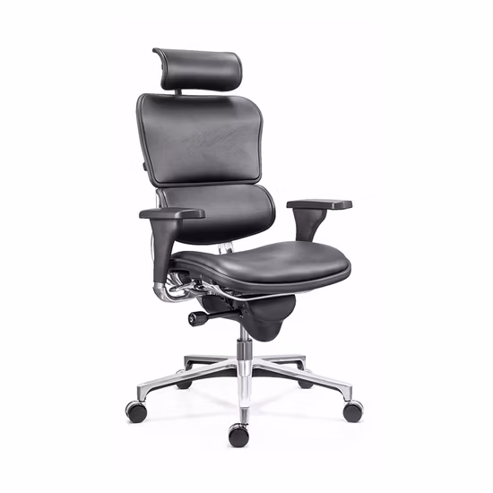 Zebai Reclining Ergonomic Staff Mesh Chair Office Chair with Armrest (ZB