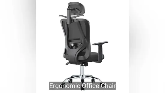 Stylish Adjustable Office Chair for Home and Work with Back Support 